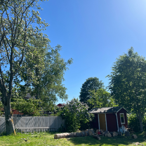 Trädfällning,växjö,kronoberg 500x500 3